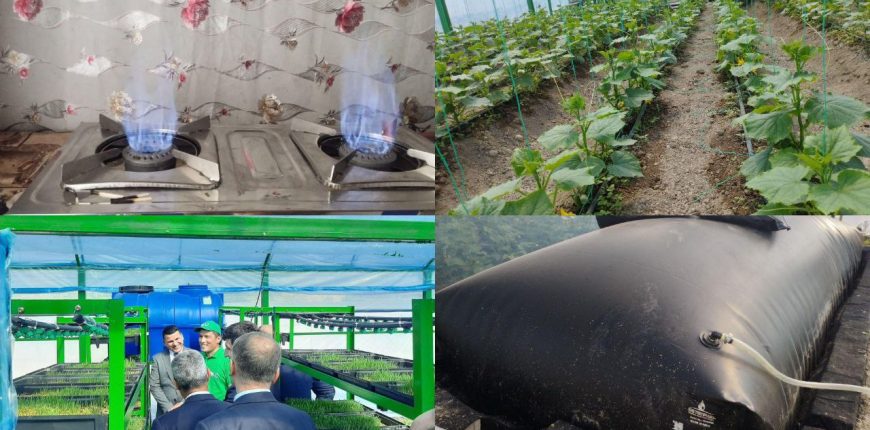 photo_2026-01-22_13-35-31