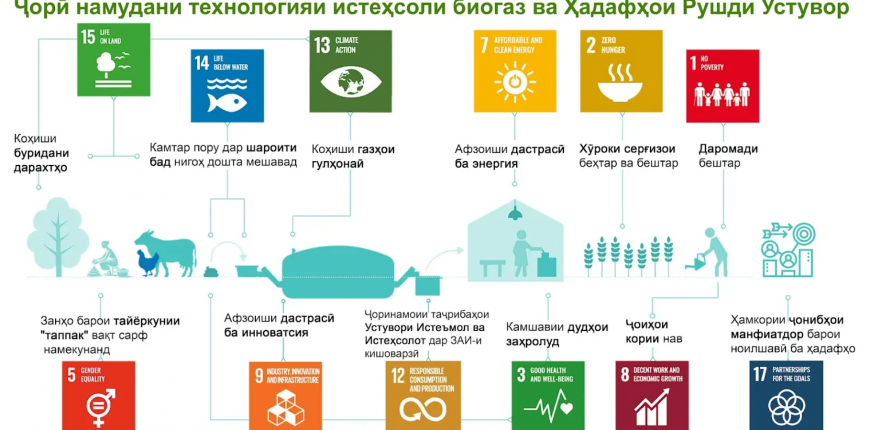 Снимок экрана 2026-02-12 020219