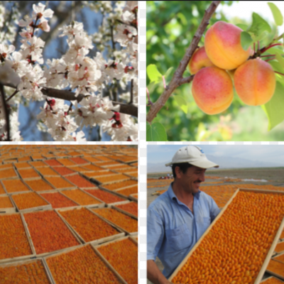 Снимок экрана 2026-02-13 215947