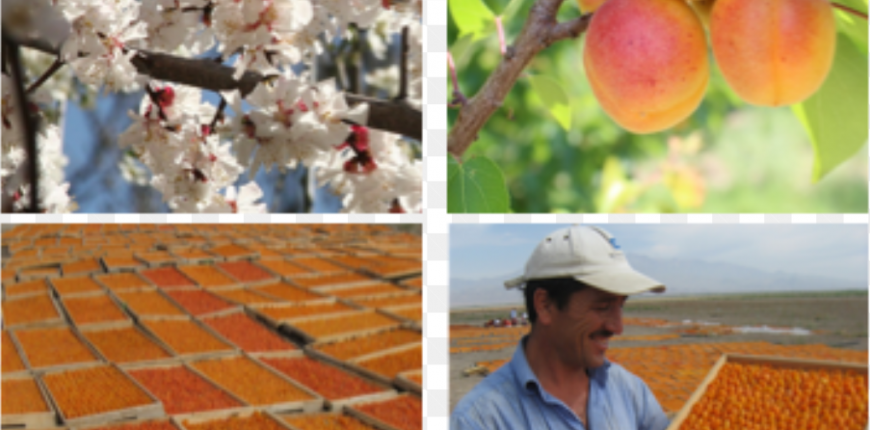 Снимок экрана 2026-02-13 215947