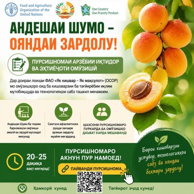 FAO Apricot VC Capacity Assessment