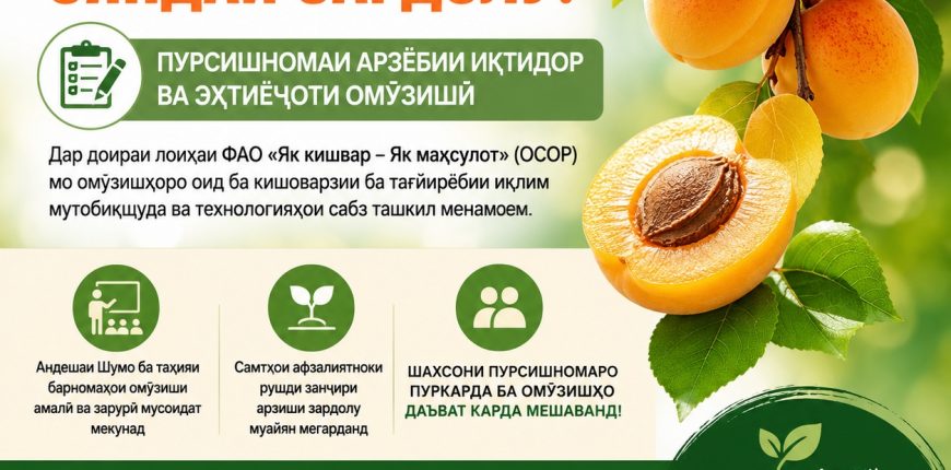 FAO Apricot VC Capacity Assessment