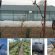 GEFF-Demo-GH-Project-Photo