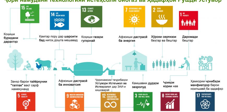 UNDP-Biogas-Project-Photo